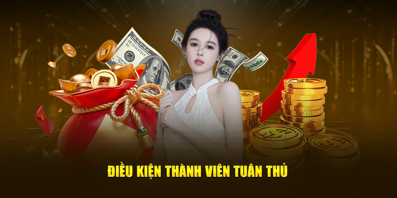 Điều kiện thành viên tuân thủ