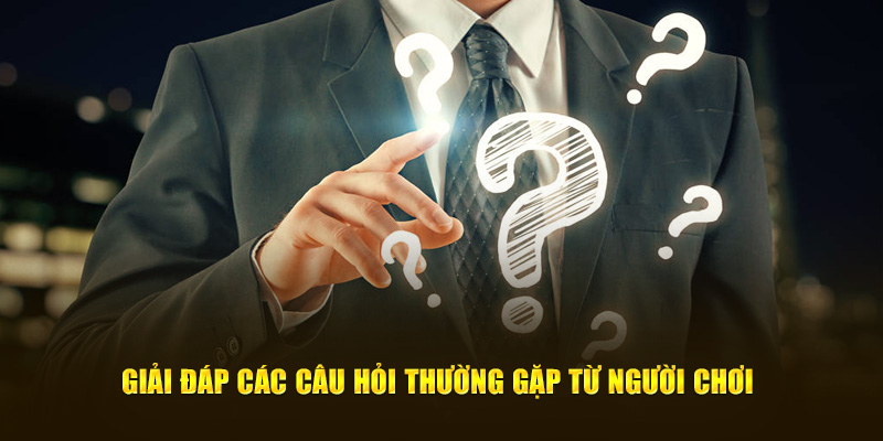 Giải đáp các câu hỏi thường gặp từ người chơi 8kbet