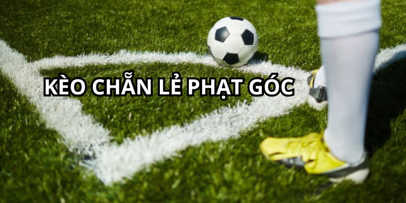 Cá độ phạt góc chẵn lẻ cũng là kiểu cược rất thú vị