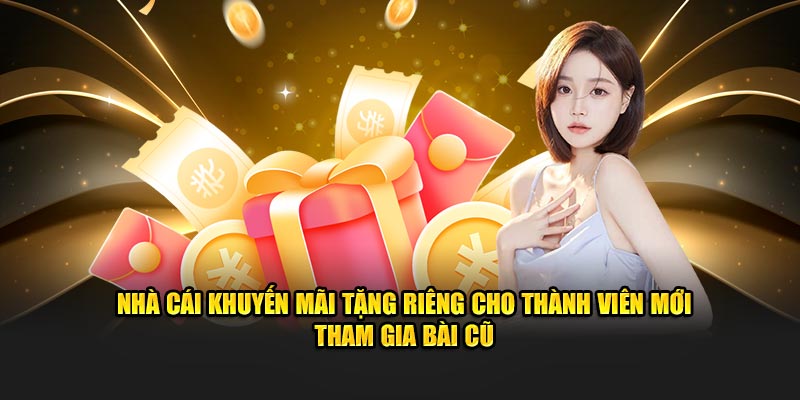 Nhà cái khuyến mãi tặng riêng cho thành viên mới tham gia